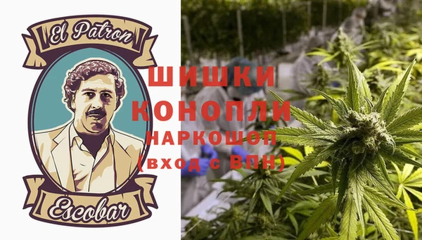 молекула духа Белокуриха