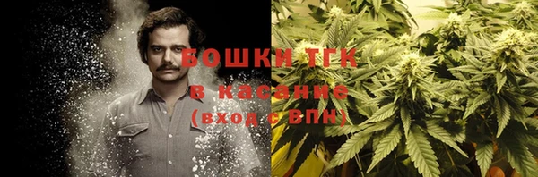 молекула духа Белокуриха